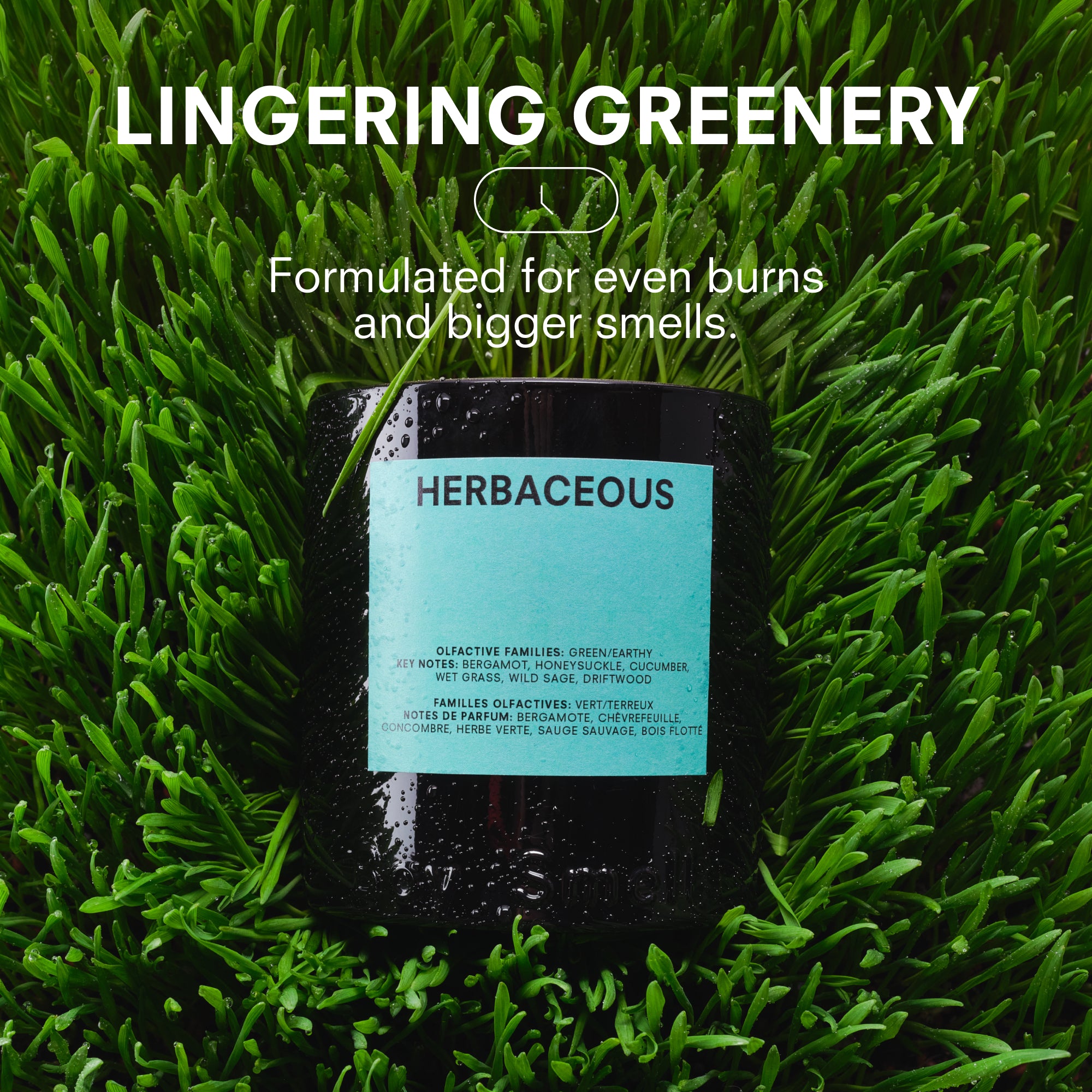 HERBACEOUS