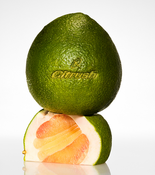 CITRUSH SNIFFER (3-PACK)