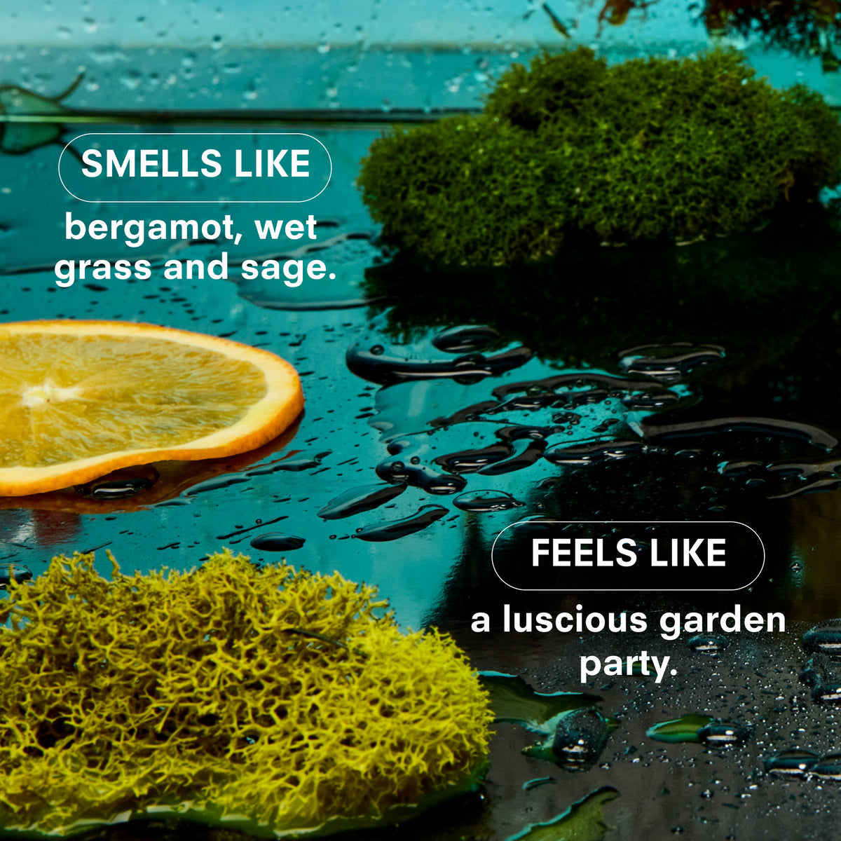 HERBACEOUS