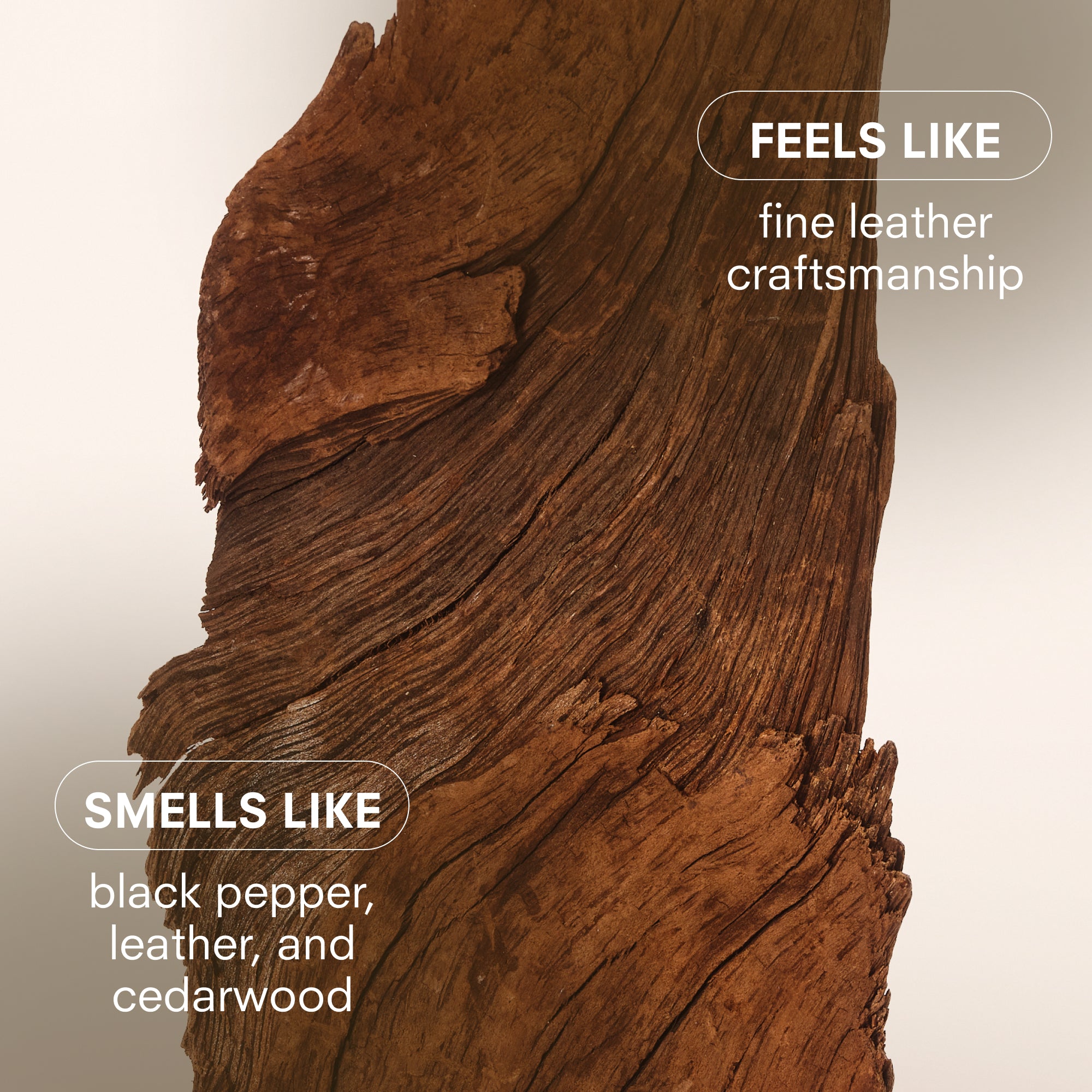 HARD WOOD